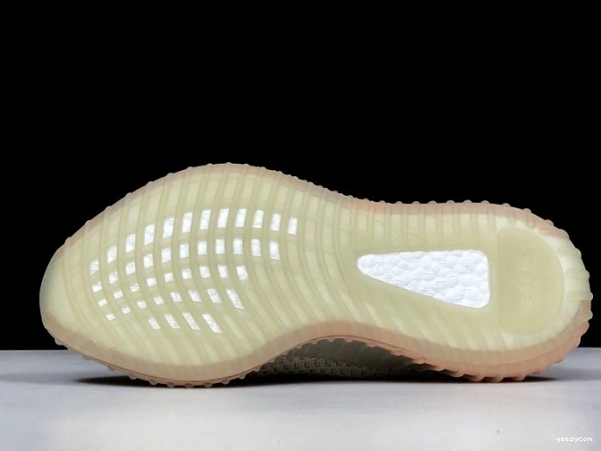V2 Form Yeezy 350 Boost EG7492 Adidas True 0819